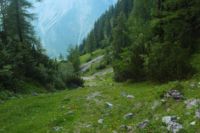 2015-07-02_2Hahnenkampl (415).JPG